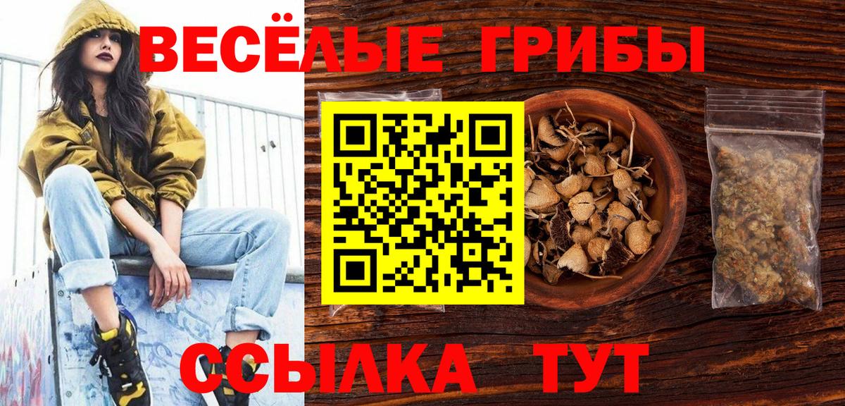 Майский  Галлюциногенные грибы Psilocybine cubensis  Вход с VPN  где купить наркоту  Галлюциногенные грибы GOLDEN TEACHER 