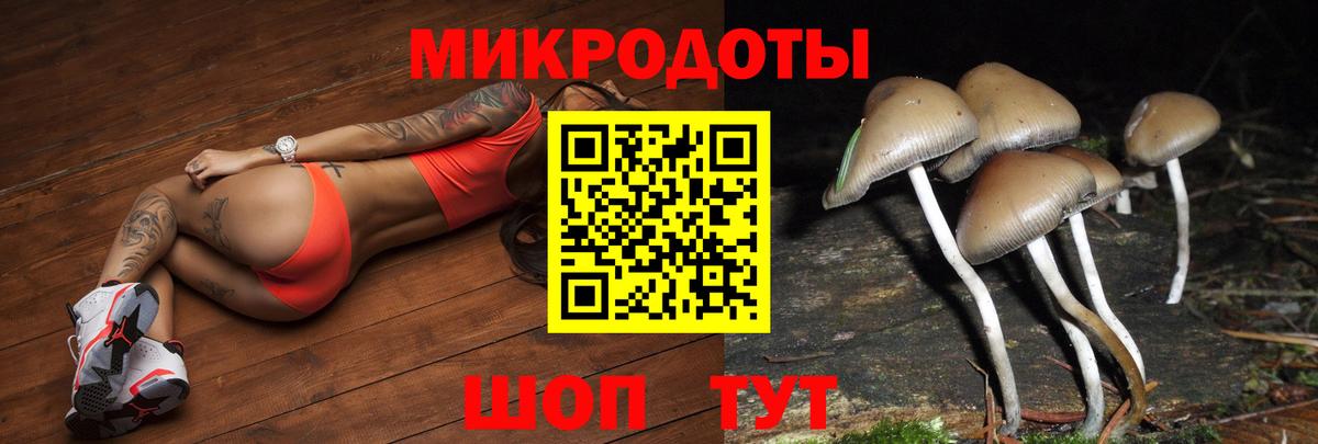 Псилоцибиновые грибы MAGIC MUSHROOMS Майский